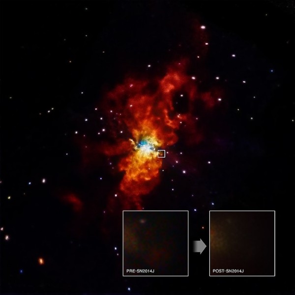 Immagine della galassia M82 con la supernova SN 2014J. Nei due riquadri le osservazioni X di Chandra, prima e dopo l’evento: il nulla assoluto. Fonte NASA/SAO/CXC/R. Margutti et al