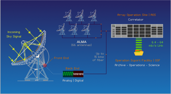 Lo schema di lavoro di ALMA. Il segnale della singola antenna viene trasmesso attraverso un afibra ottica al Correaltore che lo combina con quelli delle altre antenne producendo il risultato finale. Fonte: ALMA. 