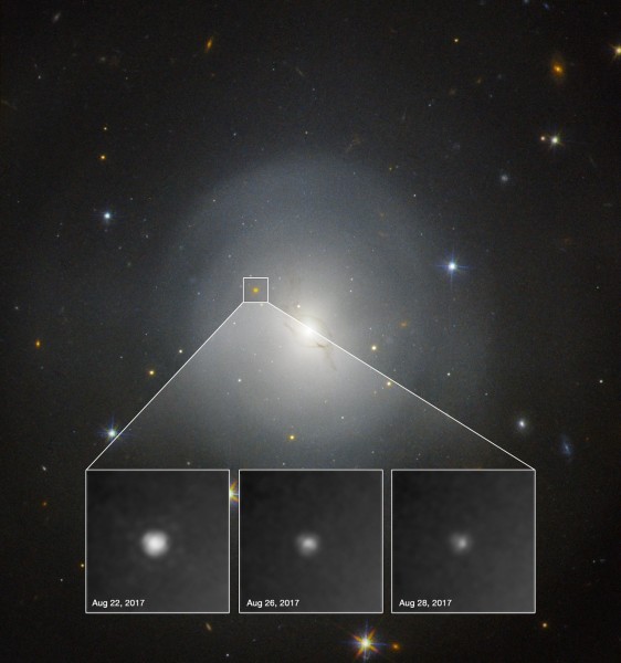 L'immagine della galassia (a 130 milioni di AL di distanza) e l'esplosione della chilonova (fusione di due stelle di neutroni), osservata da Hubble. Chissà quanto oro si è formato!. Fonte: NASA ed ESA. 